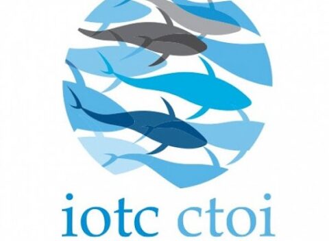 IOTC (1)