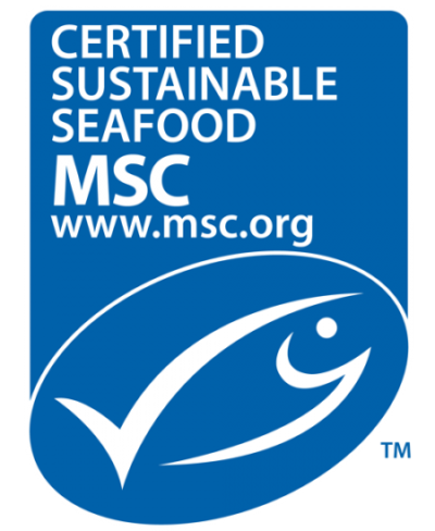 msc-logo